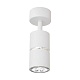 спот lampit asti ts tk40-c1 wt+chr