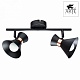 спот arte lamp baltimore a1406ap-2bk