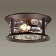 уличный светильник odeon light nature mavret 4961/2c