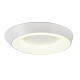 потолочный светильник myfar phoebe mr9150-cl