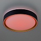 потолочный светильник citilux boss cl751251g