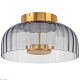 потолочный светодиодный светильник lightstar celesta 809061