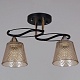 потолочный светильник reluce 06087-0.3-02 bk+fg