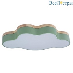 Потолочный светодиодный светильник Loft IT Axel 10005/30 green