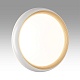 настенно-потолочный светодиодный светильник sonex pale tofiq white 7650/dl