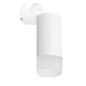 встраиваемый спот lightstar rullo rb43631 (214436+590006+202431)