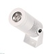 прожектор arlight alt-ray-r44-8w day4000 053631
