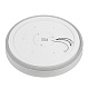 потолочный светильник citilux boss cl751450g