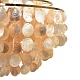 подвесная люстра lumion moderni shella 8386/6