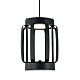 подвесной светильник indigo capsula 14027/6p black v000157l