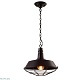 подвесной светильник arte lamp ferrico a9183sp-1bk