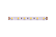 светодиодная лента designled dsg560-24-nw-33 002118