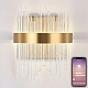 настенный светодиодный светильник natali kovaltseva led lamps 81118/1w