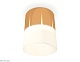 потолочный светильник ambrella light techno spot xs8121011 (c8121, n8402)