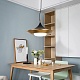 подвесной светильник imperium loft rask 151756-26