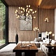 подвесная люстра odeon light gardi modern 5090/15