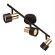 спот citilux sat cl505631