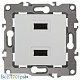 розетка usb эра 12-4110-01 б0027491