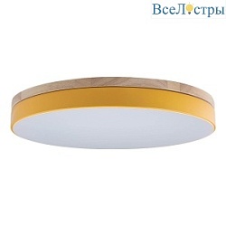 Потолочный светодиодный светильник Loft IT Axel 10001/36 yellow