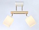 спот ambrella light traditional modern tr9501