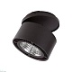 спот lightstar forte inca led 214827