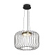 подвесной светильник freya citrus fr5398pl-l8b