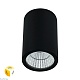 уличный потолочный светильник arte lamp torcular a1307pf-1bk