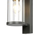 уличный настенный светильник favourite lukturis 3038-1w