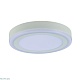 потолочный светодиодный светильник arte lamp antares a7824pl-2wh