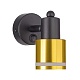 спот citilux bruno cl565514