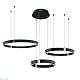 подвесная люстра arte lamp shine a2222sp-3bk