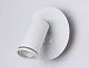 спот ambrella light wall fw2462