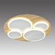 потолочный светильник sonex pine 7734/60l