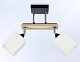 спот ambrella light traditional modern tr9503