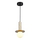 подвесной светильник st luce earthy sl1194.303.01