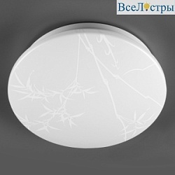 Потолочный светильник General Reed GSMCL-019-24 800258