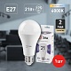 лампа светодиодная эра e27 21w 6000k led a65-21w-860-e27 б0035333