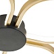 потолочный светильник escada clover 10243/4led