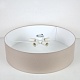 потолочный светильник lighthall camerona 65 lh022006