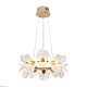 подвесная люстра modelight mdl.89092.600hc gd