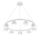 подвесная люстра lumion luazana 8254/9