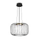 подвесной светильник freya citrus fr5398pl-l8b