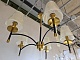 потолочная люстра omnilux abriola oml-67307-05