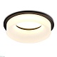 встраиваемый светильник ambrella light techno spot acrylic frost tn1303