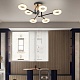потолочная люстра arte milano ferrara 272999/6 bk/gd