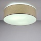 потолочный светильник lighthall camerona 65 lh022006
