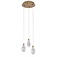подвесной светильник delight collection od2439-3 gold/clear