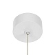 подвесной светильник citilux bruno cl565010