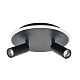 настенно-потолочный светильник escada 20046sma/02led bk