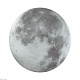 настенно-потолочный светильник sonex pale moon 3084/dln